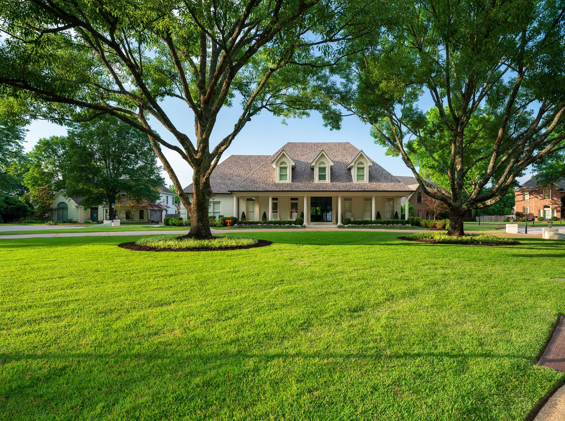 nice green lawn grass tree ring planting bed home