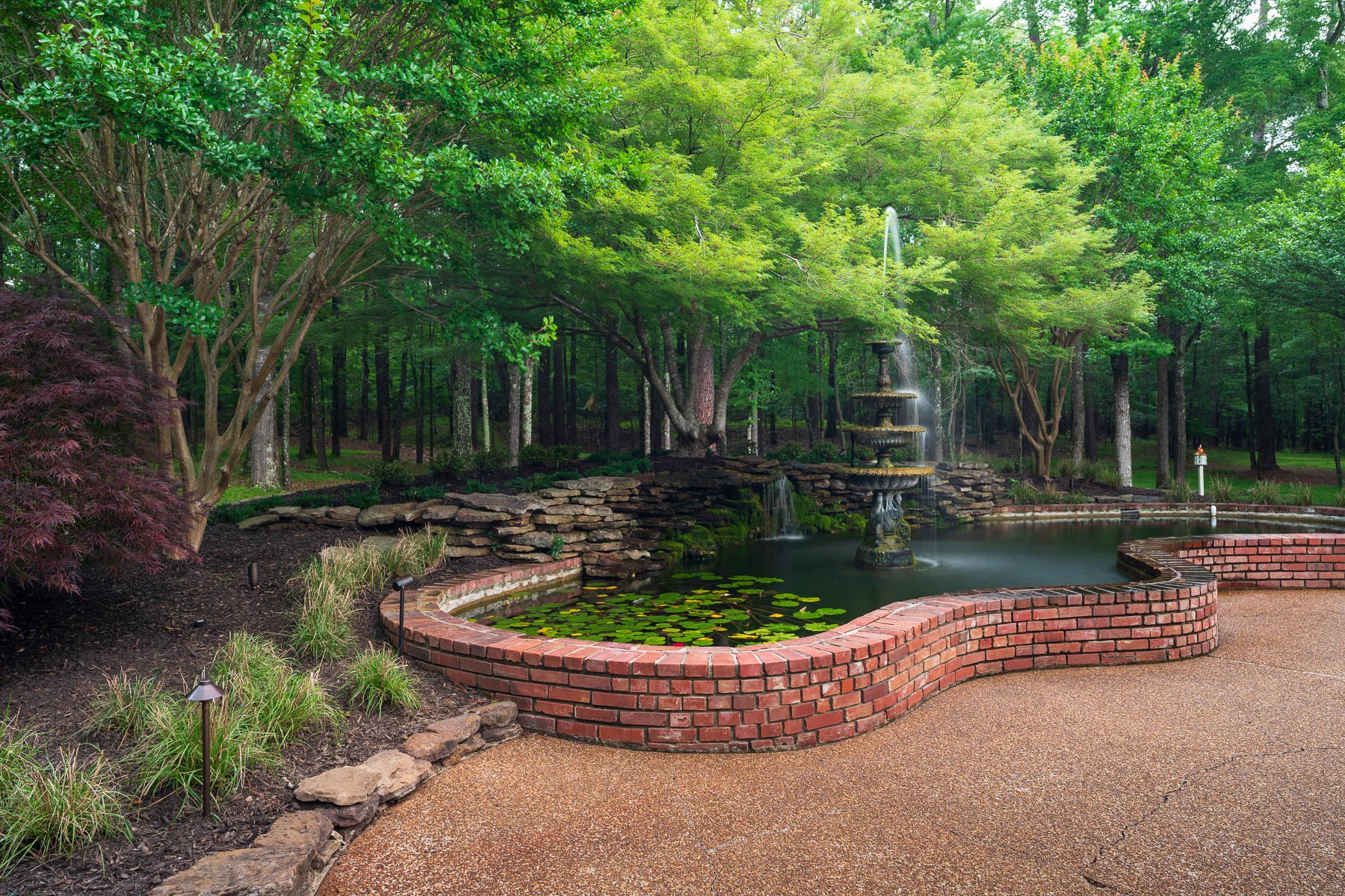pond water feature fountain plants landscape lights long exposure