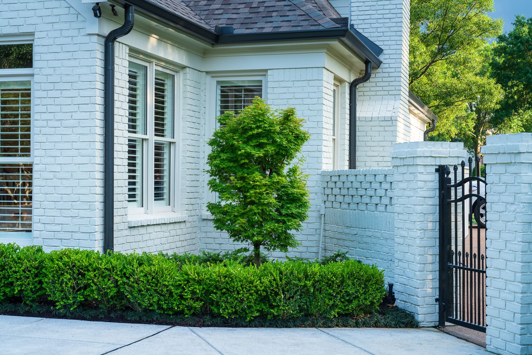 tree boxwood hedge home planting bed landscape