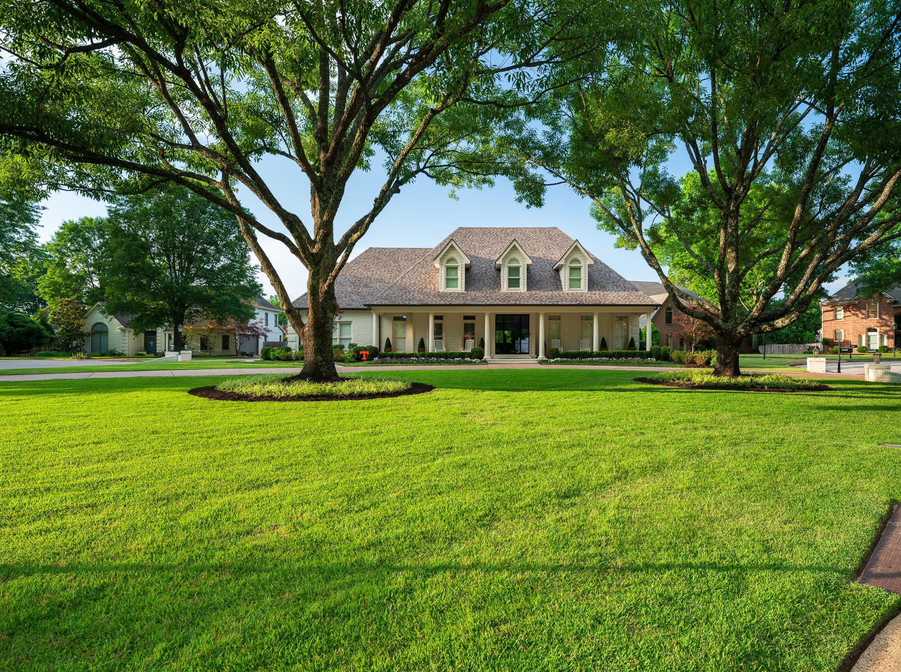 nice green lawn grass tree ring planting bed home